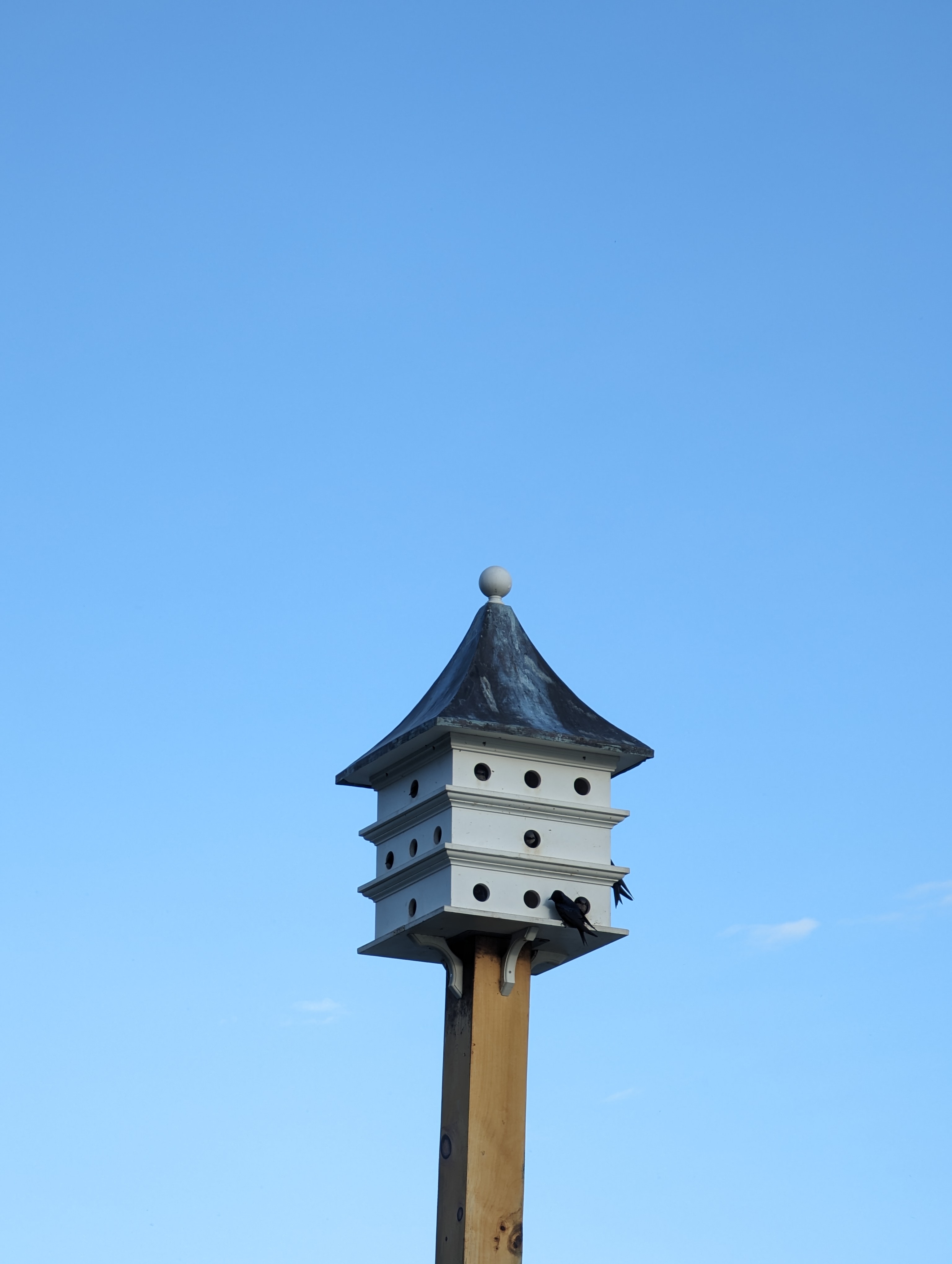 Georgetown Waterfront Park, May 2024